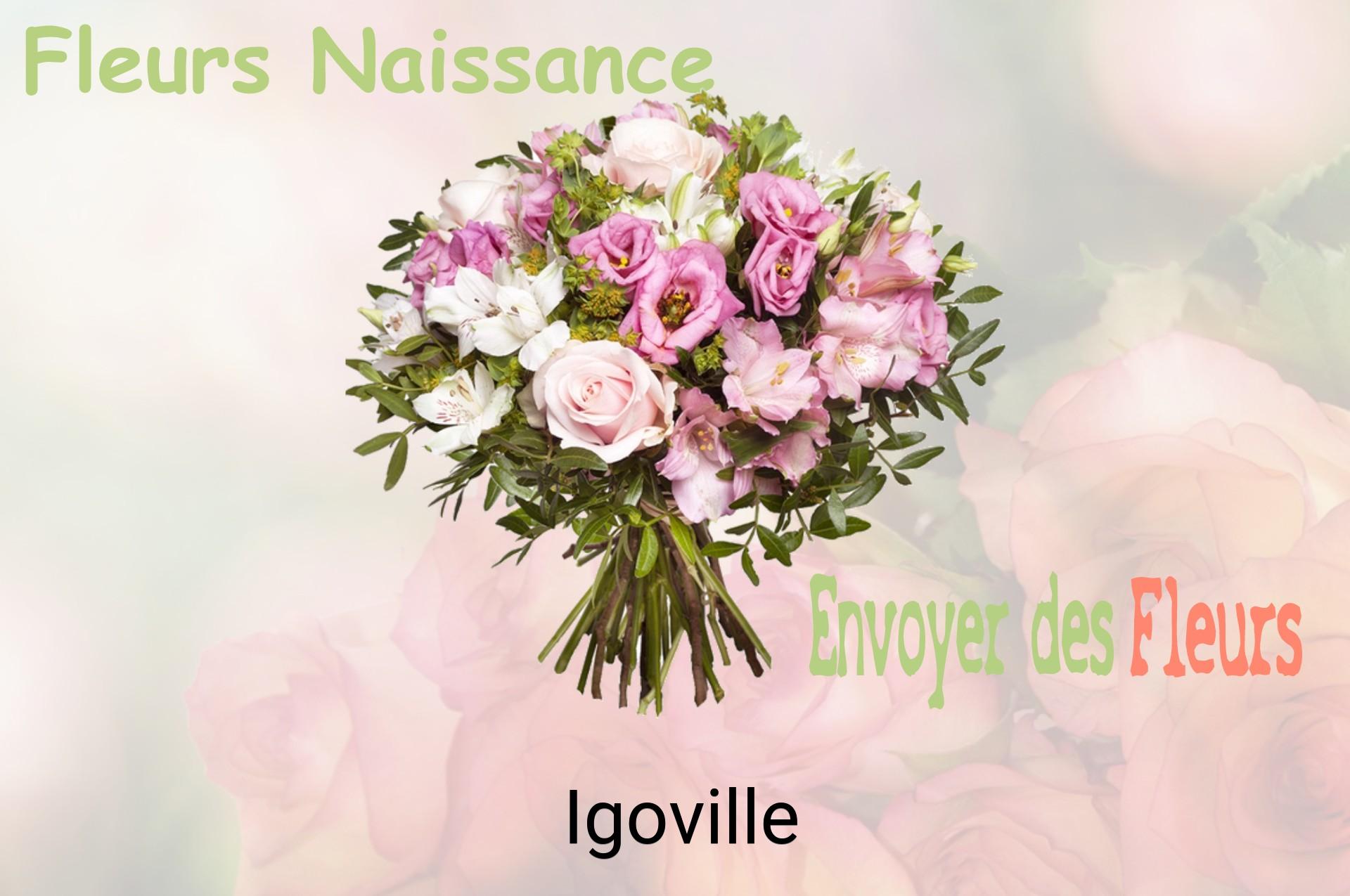 Bouquet de fleurs de naissance livré à Igoville