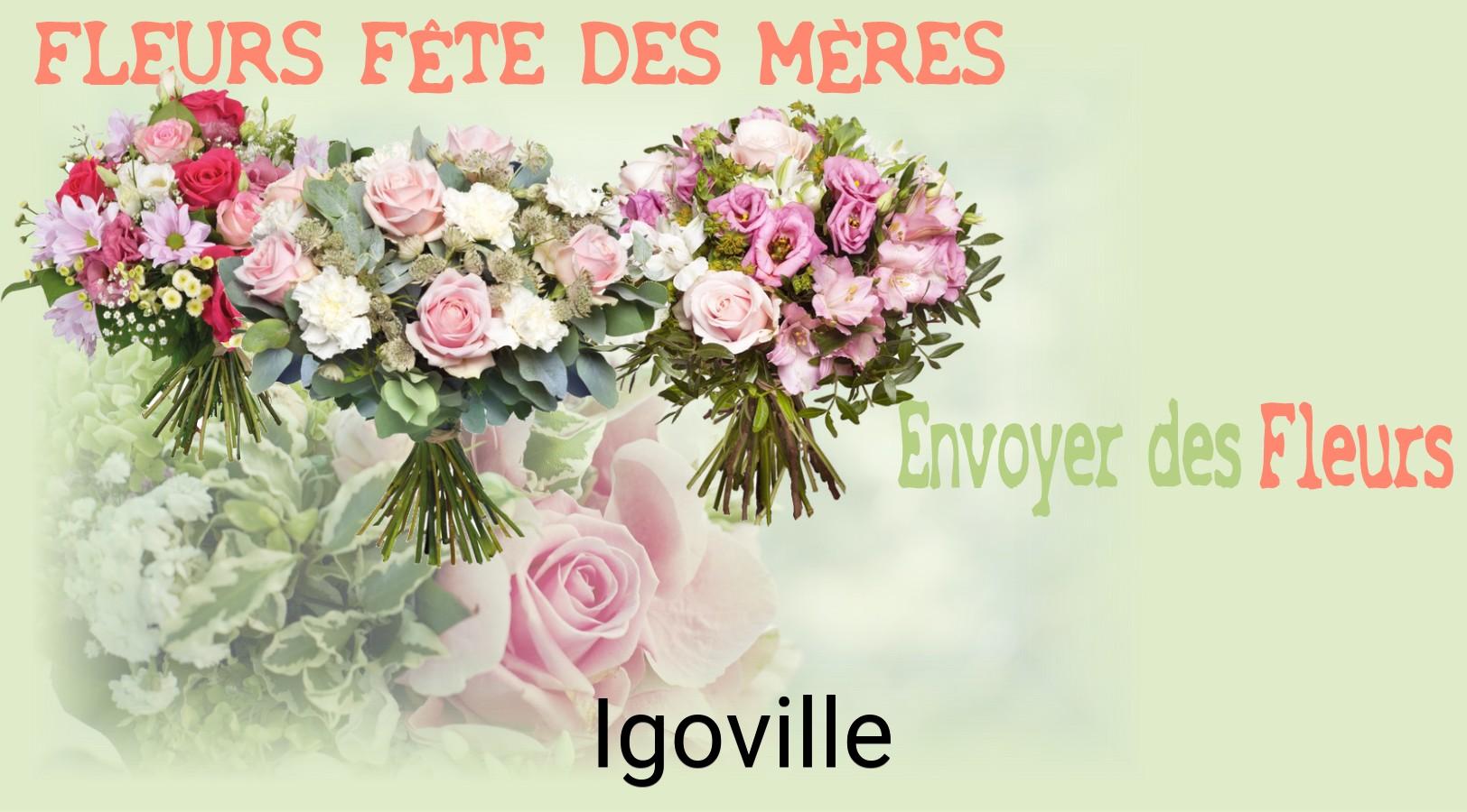Bouquet de Fête des Mères livré à Igoville
